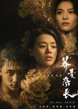 泛页面关键词2335