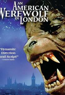 泛页面关键词4369