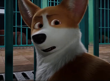 泛页面关键词2051