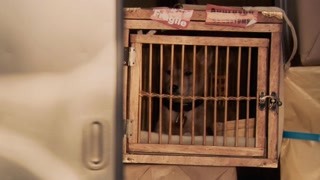 泛页面关键词2638