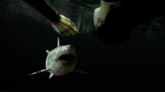 泛页面关键词1650