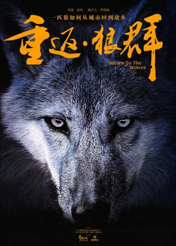 泛页面关键词3072