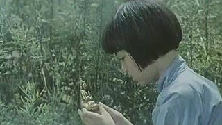 泛页面关键词4406