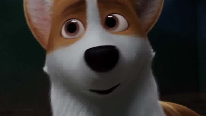 泛页面关键词2837