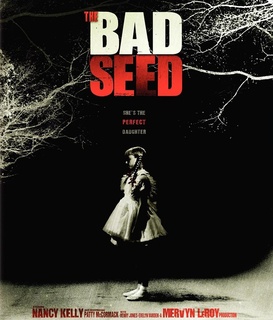 泛页面关键词4855