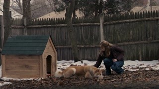 乌金血剑电视剧全集在线观看