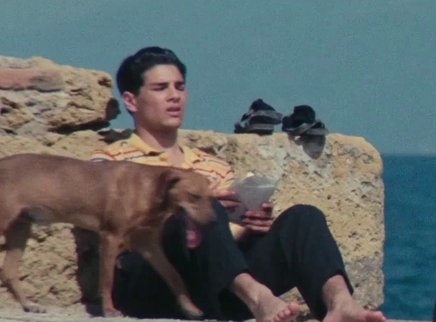 泛页面关键词0457