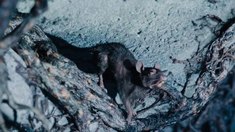 泛页面关键词4036