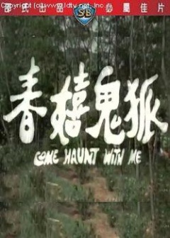 泛页面关键词0100