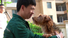 泛页面关键词1018