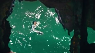 泛页面关键词0896