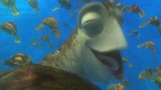 泛页面关键词0489