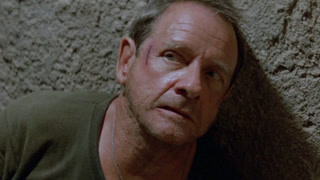 泛页面关键词0533