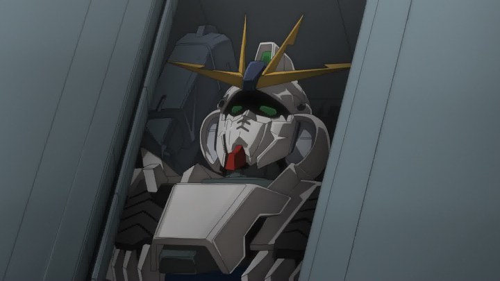 玫瑰绽放的日子