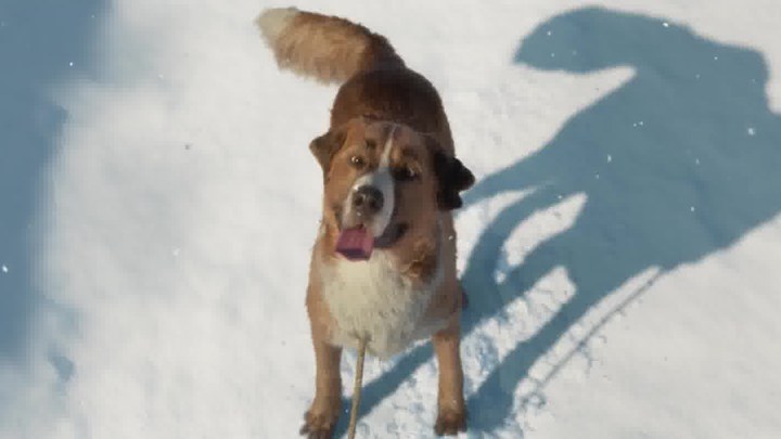 泛页面关键词4579