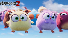 泛页面关键词0553