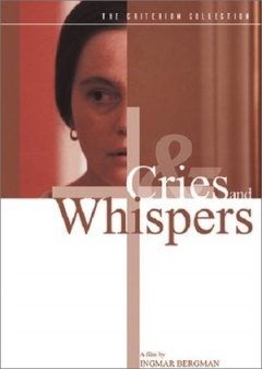 泛页面关键词1291