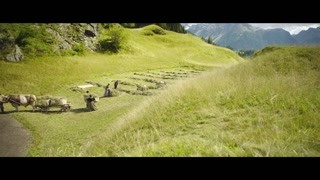 泛页面关键词4937