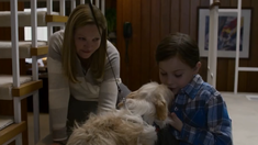 太阳的眼泪电影