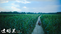 泛页面关键词0731