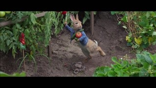 泛页面关键词0494