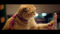 泛页面关键词2437