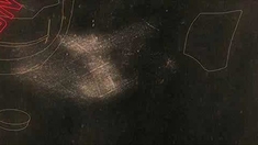 我想看舒克贝塔