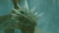 泛页面关键词3149