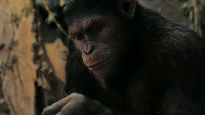 泛页面关键词2801