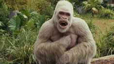 泛页面关键词0682