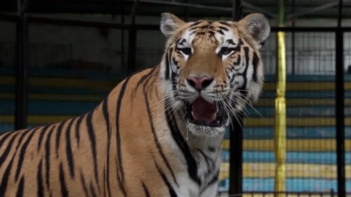 泛页面关键词4513