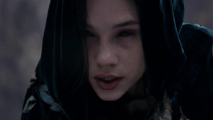 武极天尊电视剧免费观看