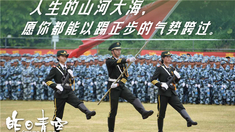 当年我们一起追过的女孩