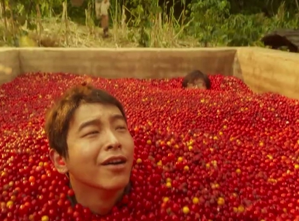 泛页面关键词3577