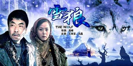 泛页面关键词0460