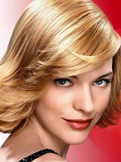 泛页面关键词1699