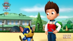 泛页面关键词0364