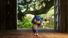 泛页面关键词0894