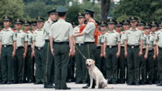 好男人视频在线播放