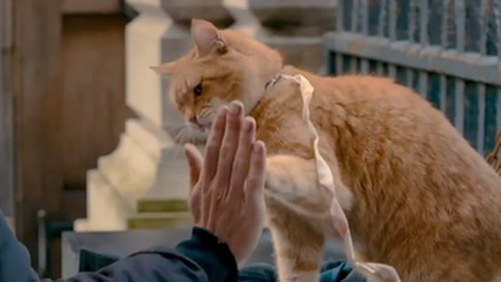 泛页面关键词3877