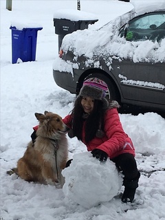 泛页面关键词4239