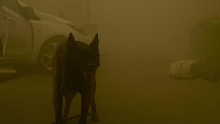 巨人最终季2023后篇