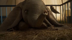 泛页面关键词4440