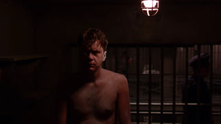 马达加斯加的企鹅动漫