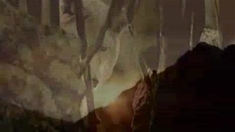 泛页面关键词1312