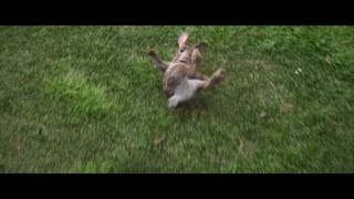 泛页面关键词0291