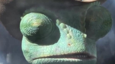 泛页面关键词3592