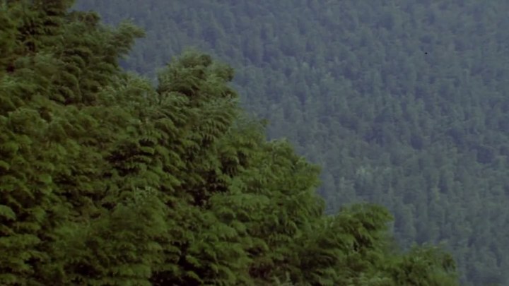 泛页面关键词3346