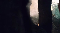 泛页面关键词1657