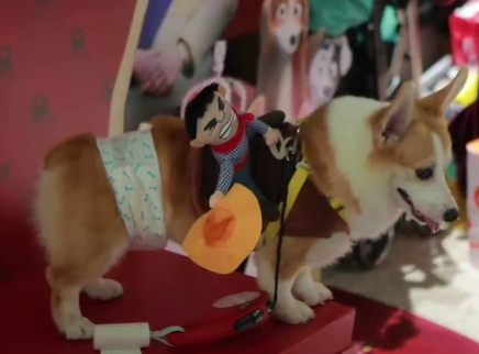 泛页面关键词0366